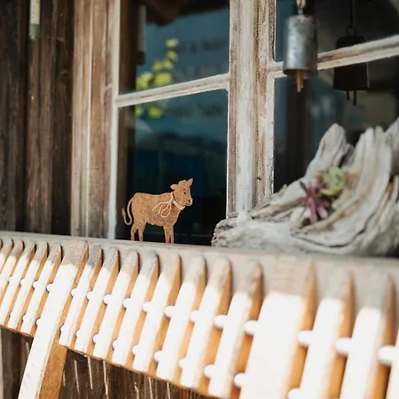 Daire Biohof Dimper - Kuhhorn