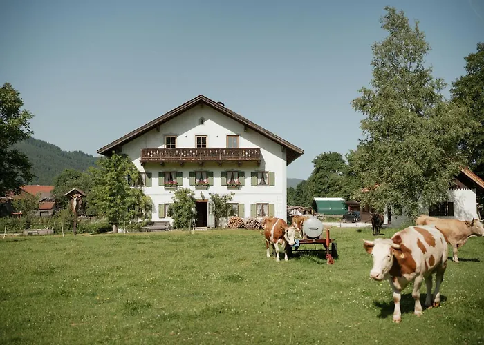 Biohof Dimper - Kuhhorn * زولغرُب